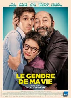 Le Gendre de ma vie flemmix