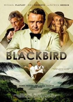 Blackbird flemmix