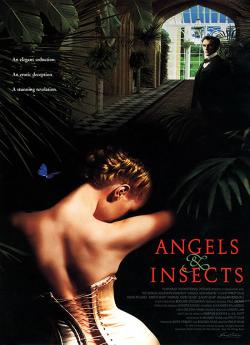 Des anges et des insectes flemmix