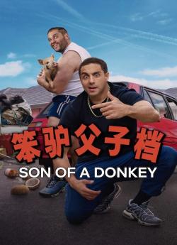 Son of a Donkey - Saison 1 flemmix