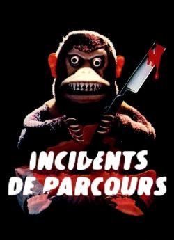 Incidents de parcours flemmix