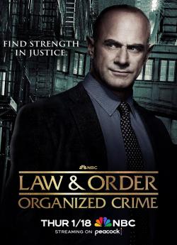 New York Crime Organisé - Saison 4 flemmix