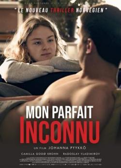 Mon parfait inconnu flemmix