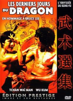 Les Derniers jours du dragon flemmix