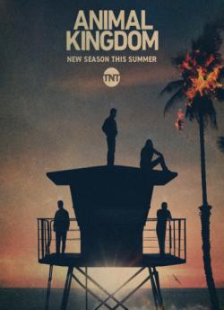 Animal Kingdom - Saison 5 flemmix