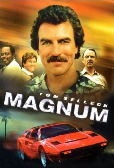 Magnum (1980) - Saison 1 flemmix