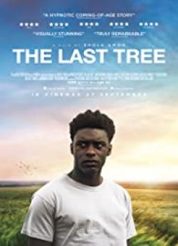 The Last Tree flemmix