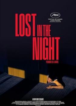 Lost in the Night flemmix