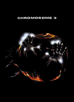 Chromosome 3 flemmix