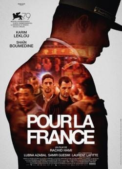 Pour la France flemmix