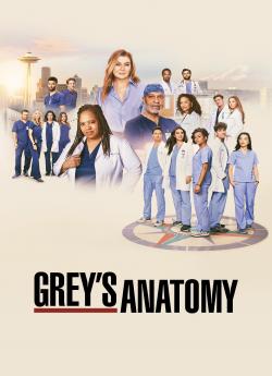 Grey's Anatomy - Saison 21 flemmix