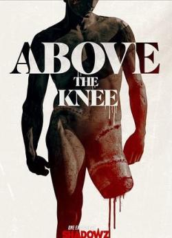 Above the Knee flemmix