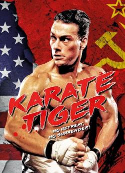 Karaté Tiger flemmix