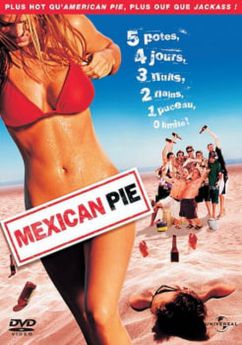Mexican pie flemmix