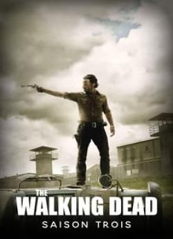 The Walking Dead - Saison 3 flemmix