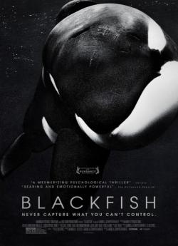 Blackfish flemmix