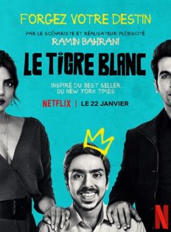 Le Tigre blanc flemmix