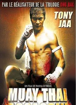 Muay Thai Assassin flemmix