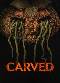 Carved flemmix