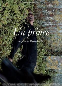 Un Prince flemmix