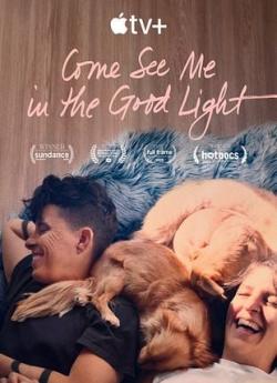 Come See Me In The Good Light flemmix