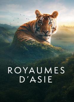 Royaumes d'Asie flemmix