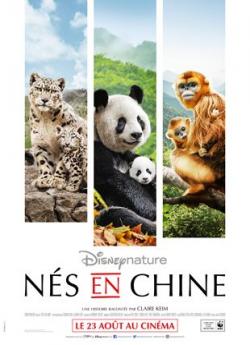 Nés en Chine flemmix