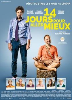 14 jours pour aller mieux flemmix
