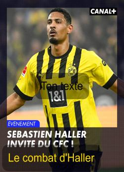 Le combat d'Haller flemmix
