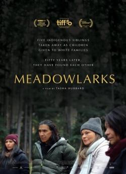 Meadowlarks wiflix