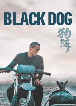 Black Dog wiflix