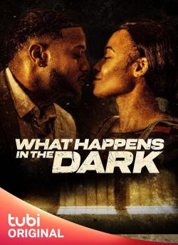 What Happens in the Dark flemmix