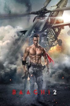 Baaghi 2 flemmix