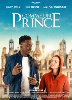 Comme un Prince flemmix
