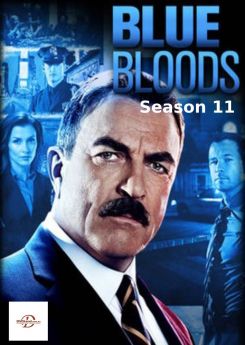 Blue Bloods - Saison 11 flemmix