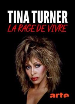 Tina Turner, la rage de vivre flemmix