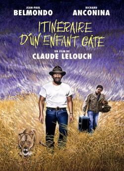 Itinéraire d'un enfant gâté flemmix