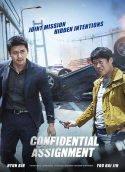 Confidential Assignment flemmix