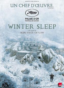 Winter Sleep flemmix