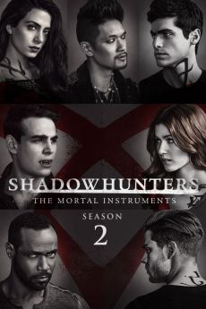 Shadowhunters - Saison 2 flemmix