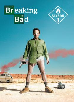Breaking Bad - Saison 1 flemmix