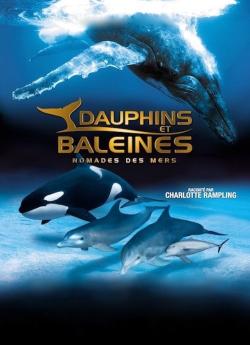 IMAX Dauphins et baleines : Nomades des mers flemmix