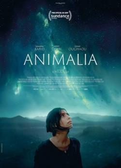 Animalia flemmix