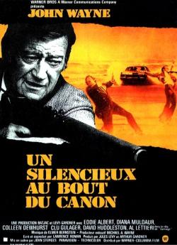 Un silencieux au bout du canon flemmix