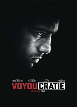 Voyoucratie flemmix