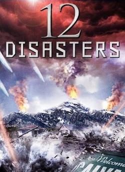 12 Disasters flemmix