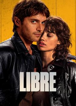 Libre flemmix