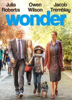 Wonder flemmix