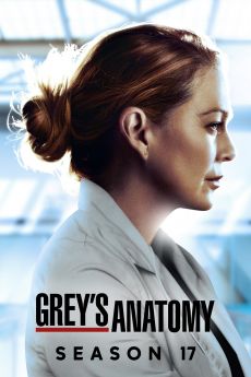 Grey's Anatomy - Saison 17 flemmix
