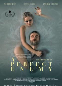 A Perfect Enemy flemmix